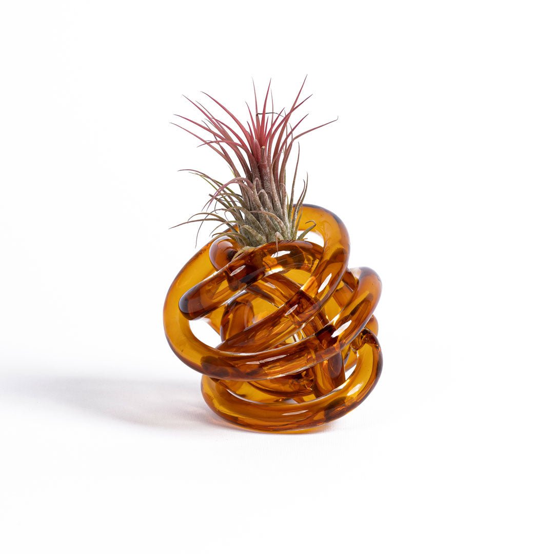 NODO DI VETRO - SBAMGLASS - Casa e giardino