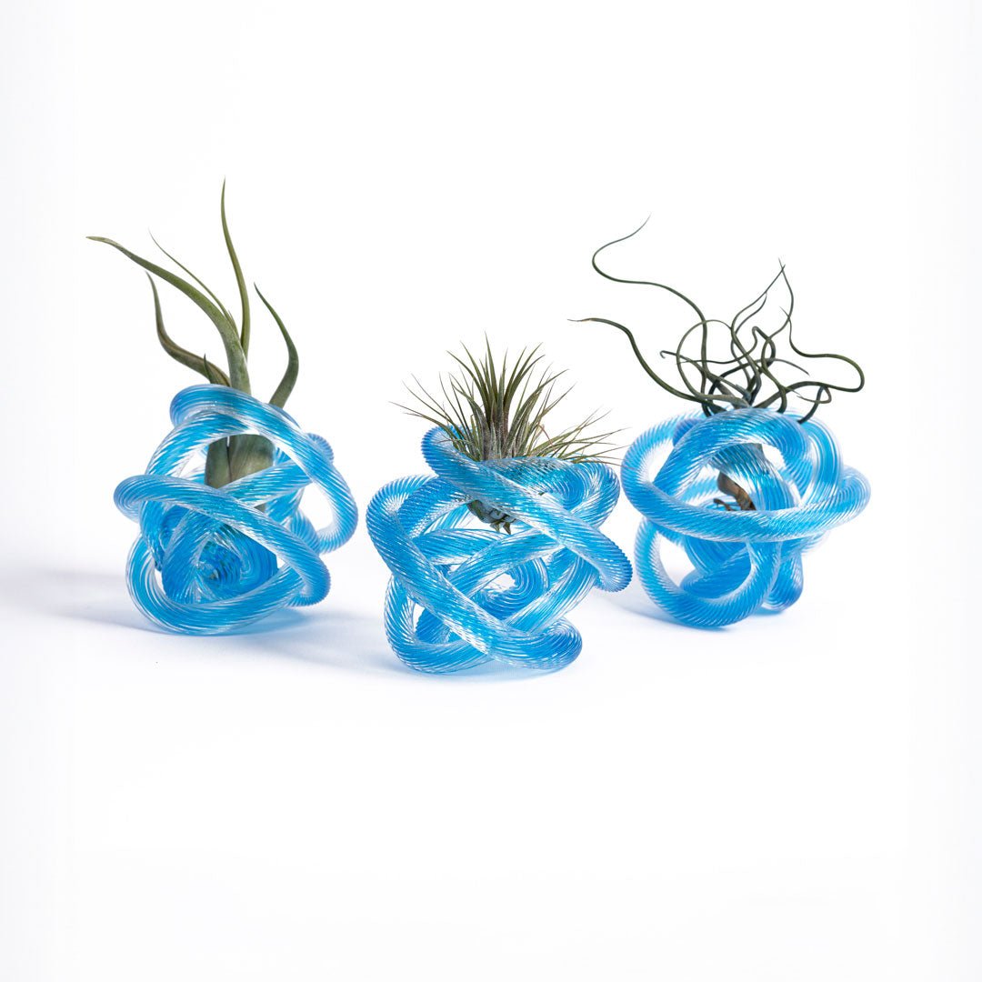 NODO DI VETRO - SBAMGLASS - Casa e giardino