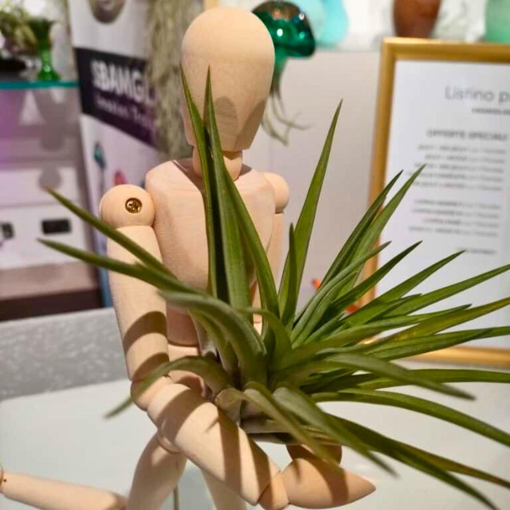 OMINO DI LEGNO ABBRACCIA PIANTE - SBAMGLASS -