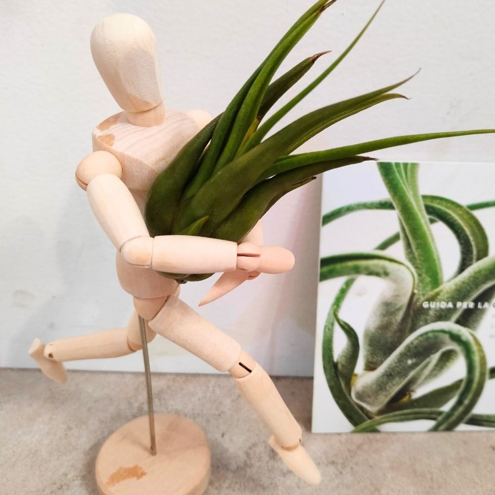 OMINO DI LEGNO ABBRACCIA PIANTE - SBAMGLASS -