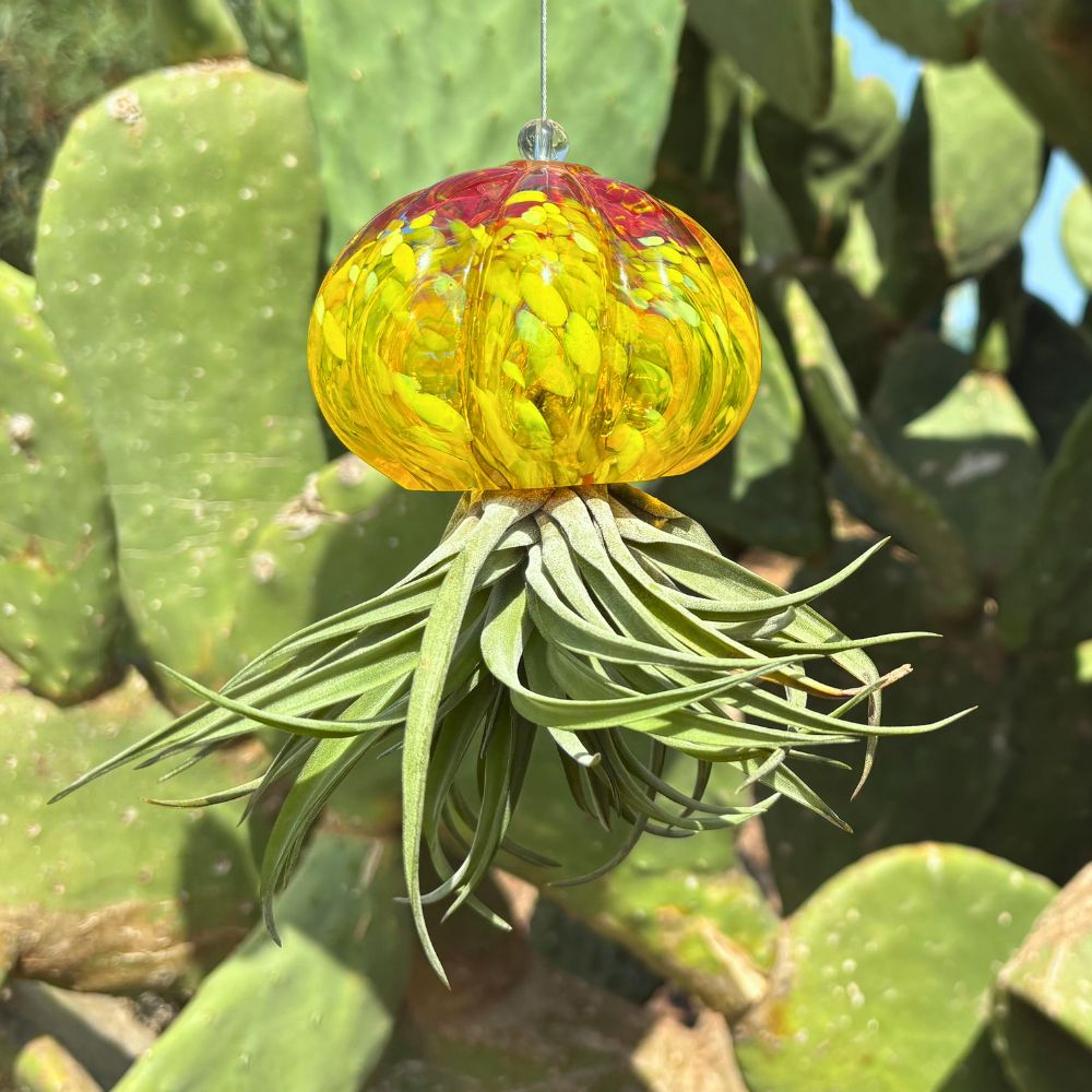 RICCIO - SBAMGLASS - Casa e giardino