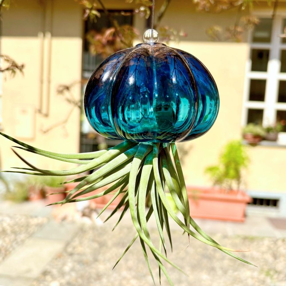 RICCIO - SBAMGLASS - Casa e giardino