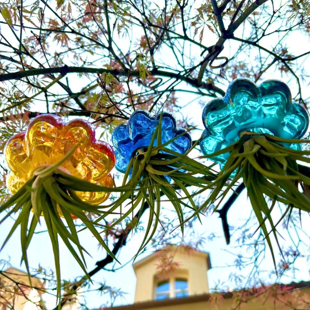 RICCIO - SBAMGLASS - Casa e giardino