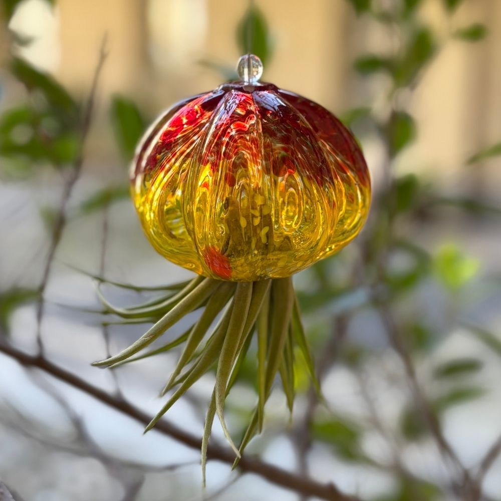 RICCIO - SBAMGLASS - Casa e giardino