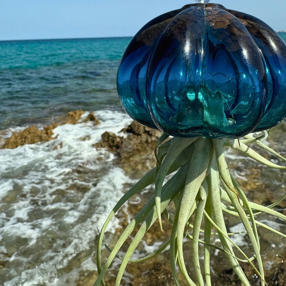 RICCIO - SBAMGLASS - Casa e giardino