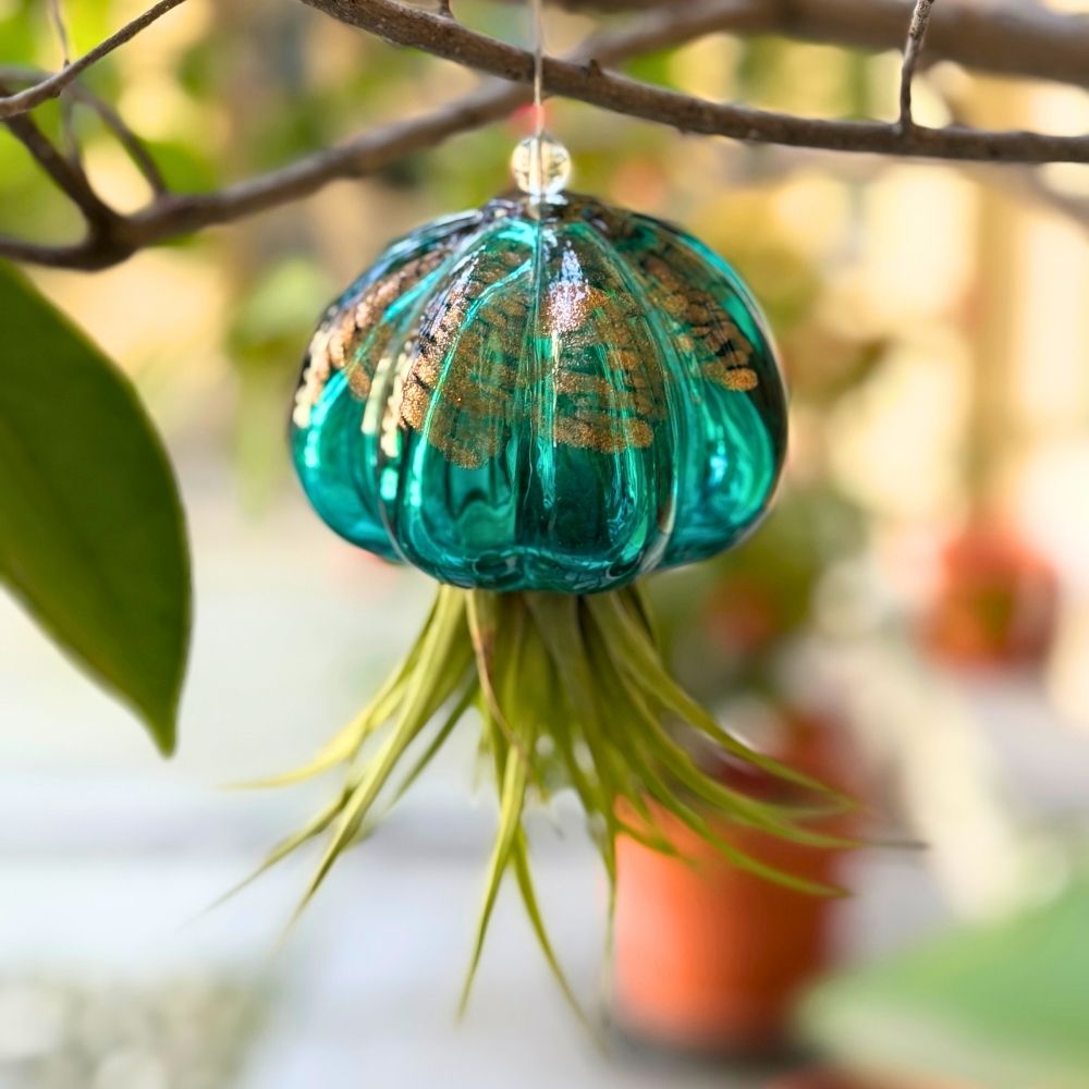 RICCIO - SBAMGLASS - Casa e giardino