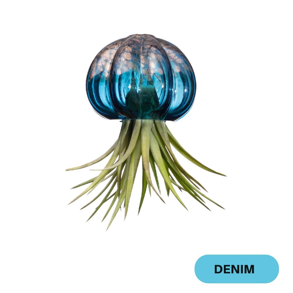 RICCIO 🤩 NOVITÀ 2024/25 - SBAMGLASS - Casa e giardino