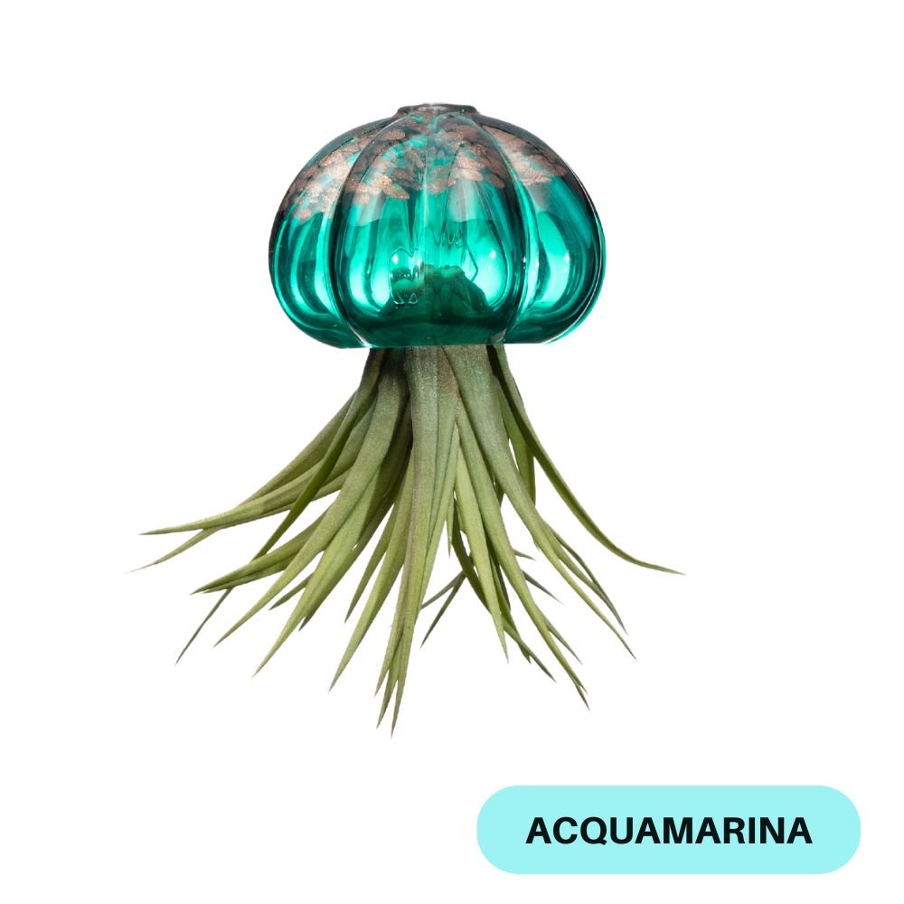 RICCIO 🤩 NOVITÀ 2024/25 - SBAMGLASS - Casa e giardino