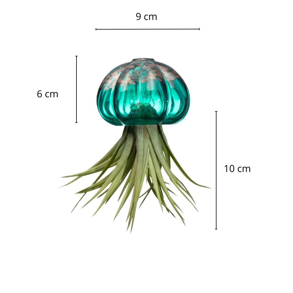 RICCIO 🤩 NOVITÀ 2024/25 - SBAMGLASS - Casa e giardino