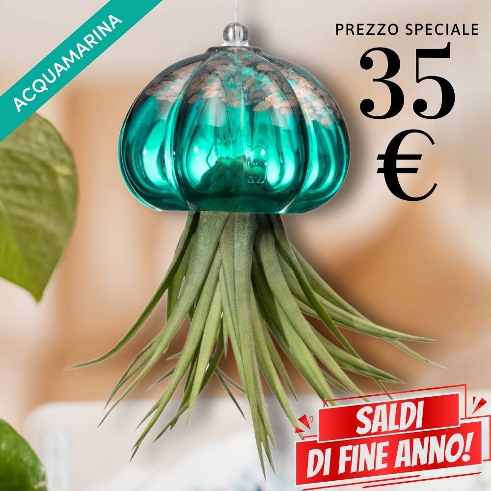 🌟 RICCIO - Porta Tillandsia - SBAMGLASS - Casa e giardino
