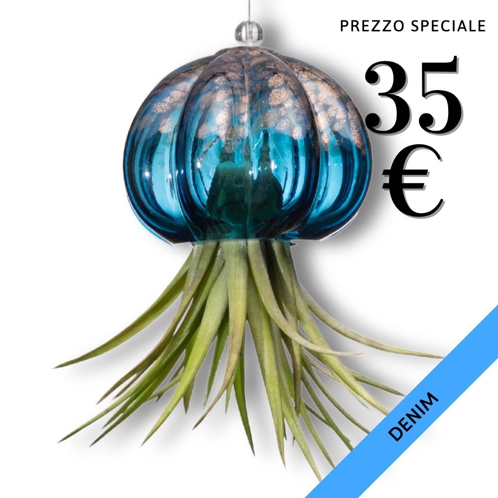 RICCIO - Porta Tillandsia - SBAMGLASS - Casa e giardino