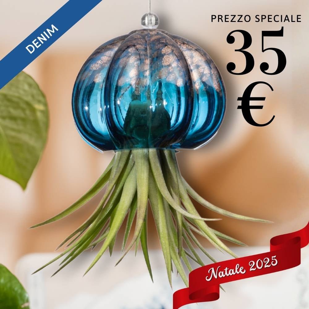 🎄 RICCIO - Porta Tillandsia - SBAMGLASS - Casa e giardino