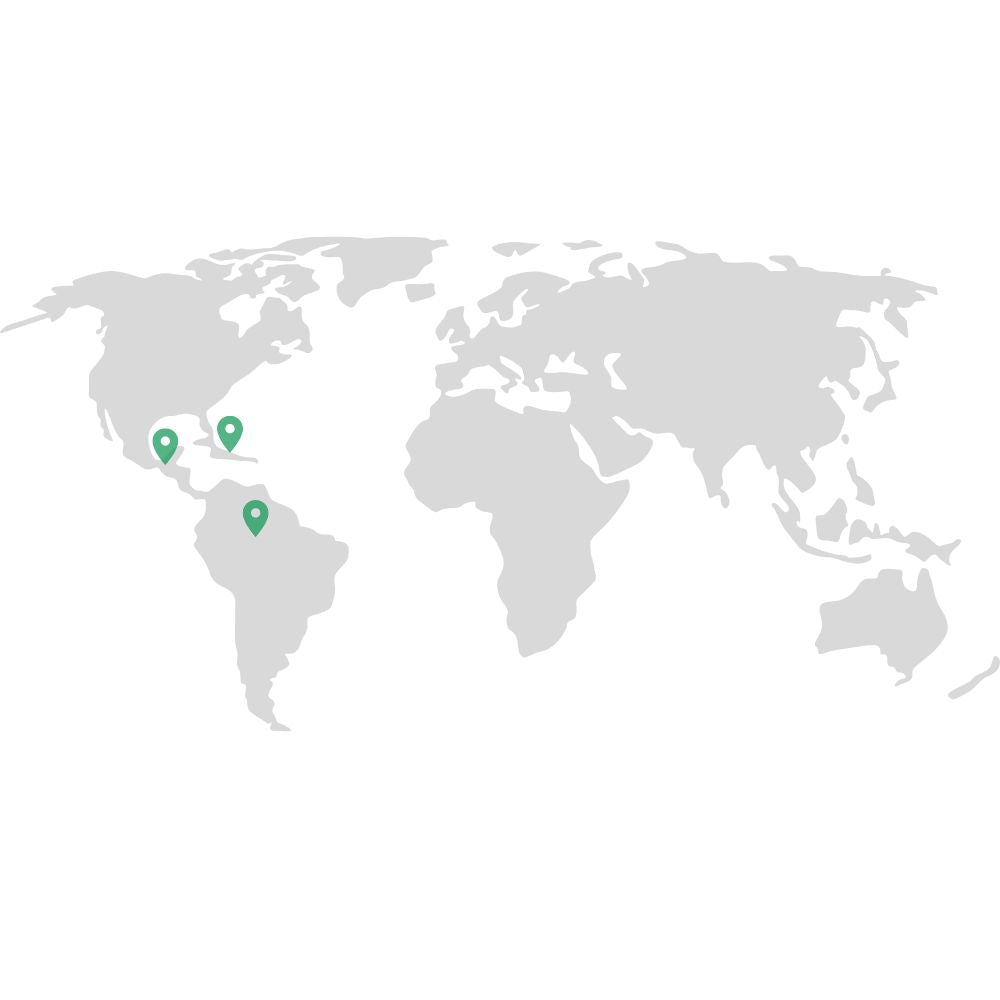 Tillandsia - ABDITA - SBAMGLASS -