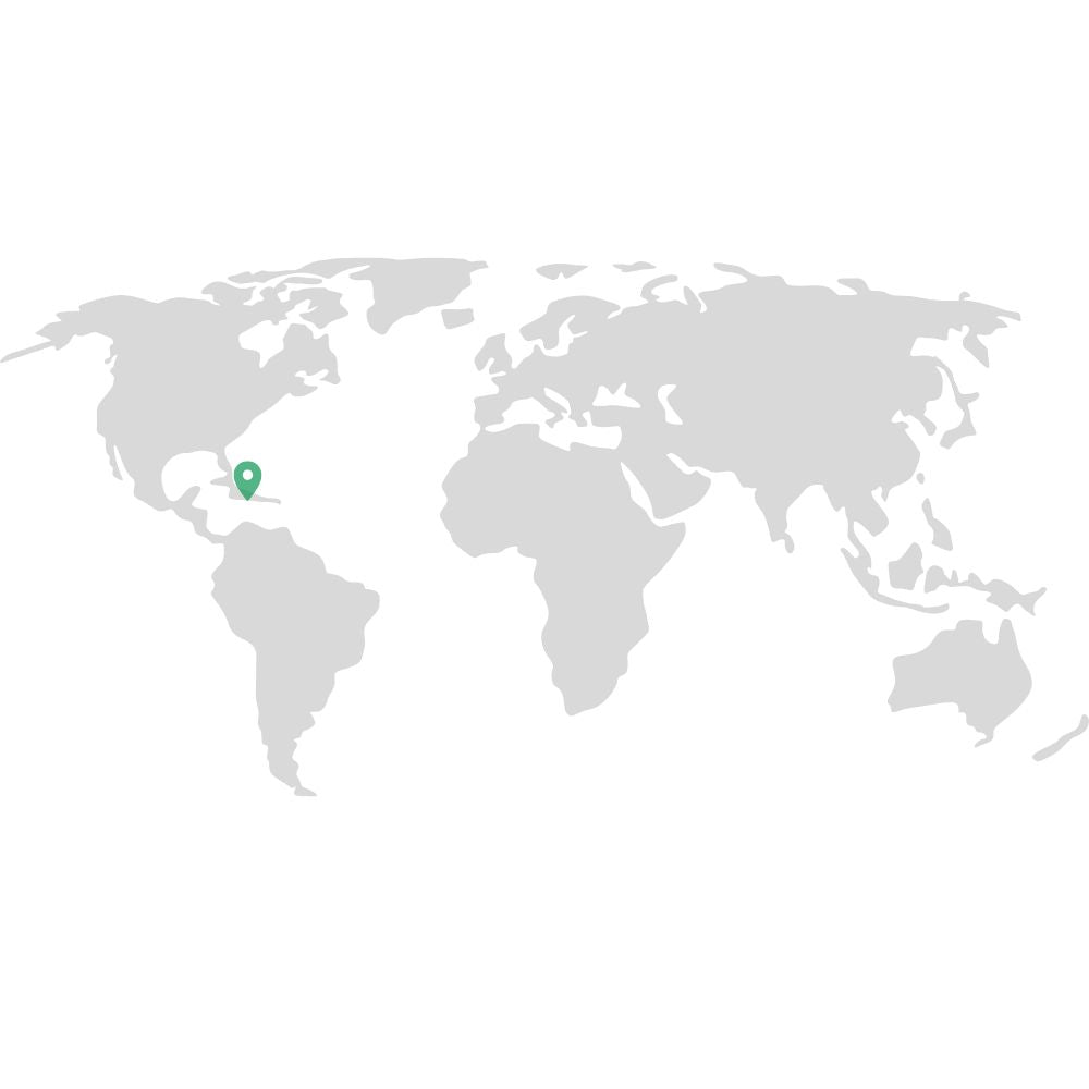 Tillandsia ARGENTEA - SBAMGLASS -