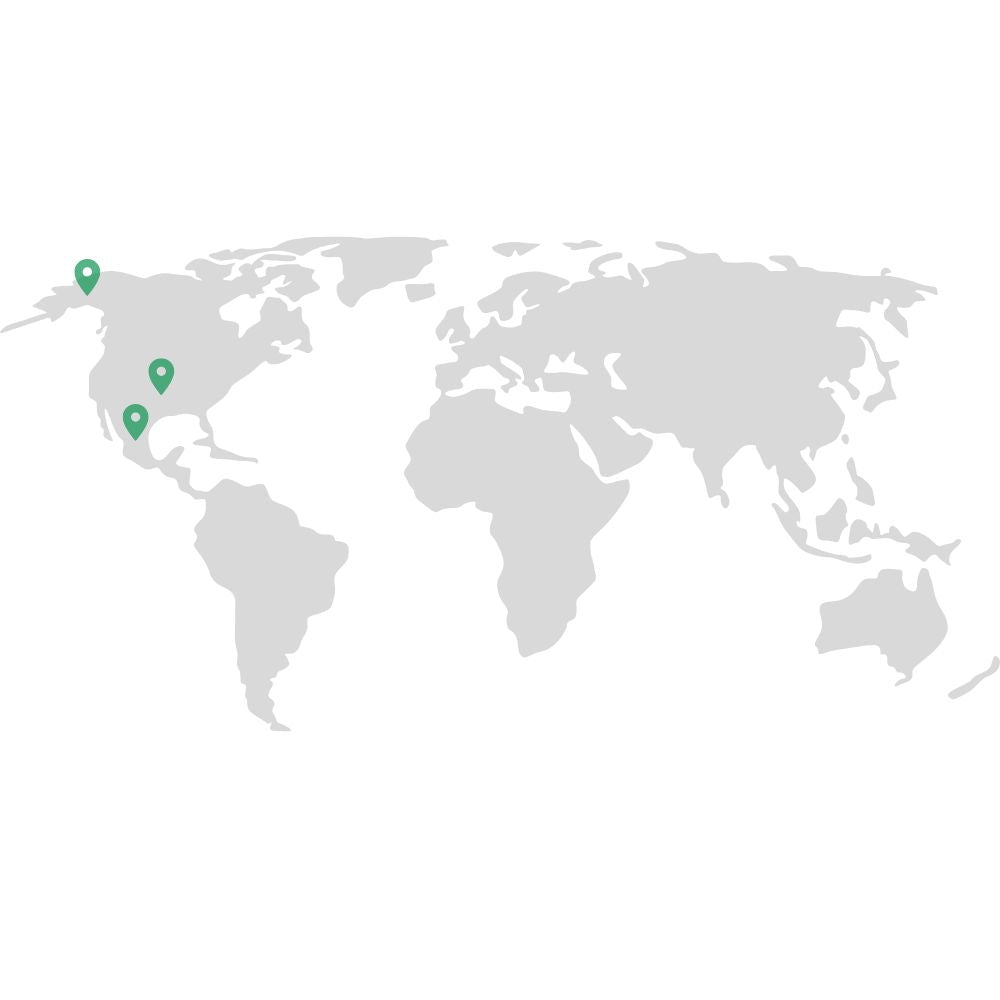 Tillandsia - IONANTHA - SBAMGLASS -