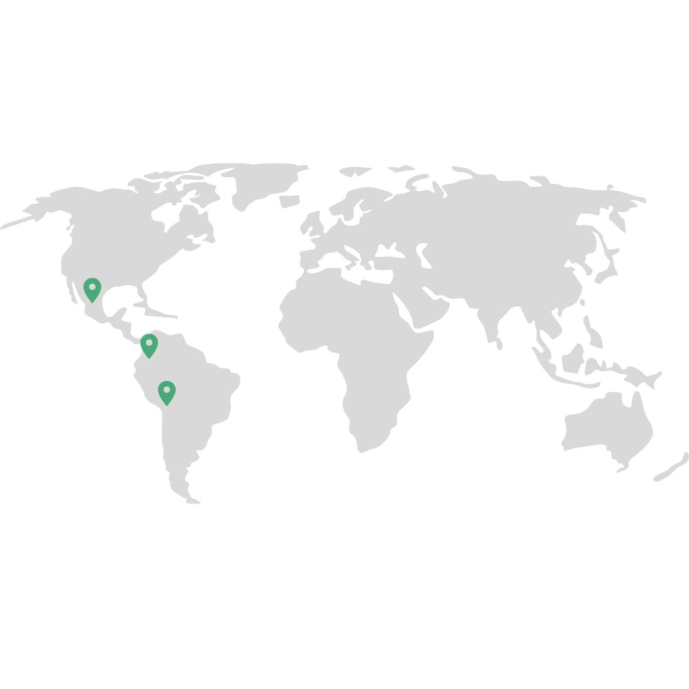 Tillandsia - JUNCEA - SBAMGLASS -