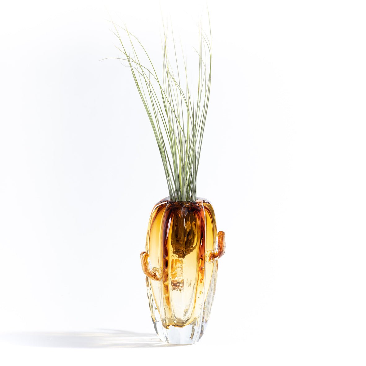 CACTUS large - Porta piante in vetro - SBAM - Casa e giardino