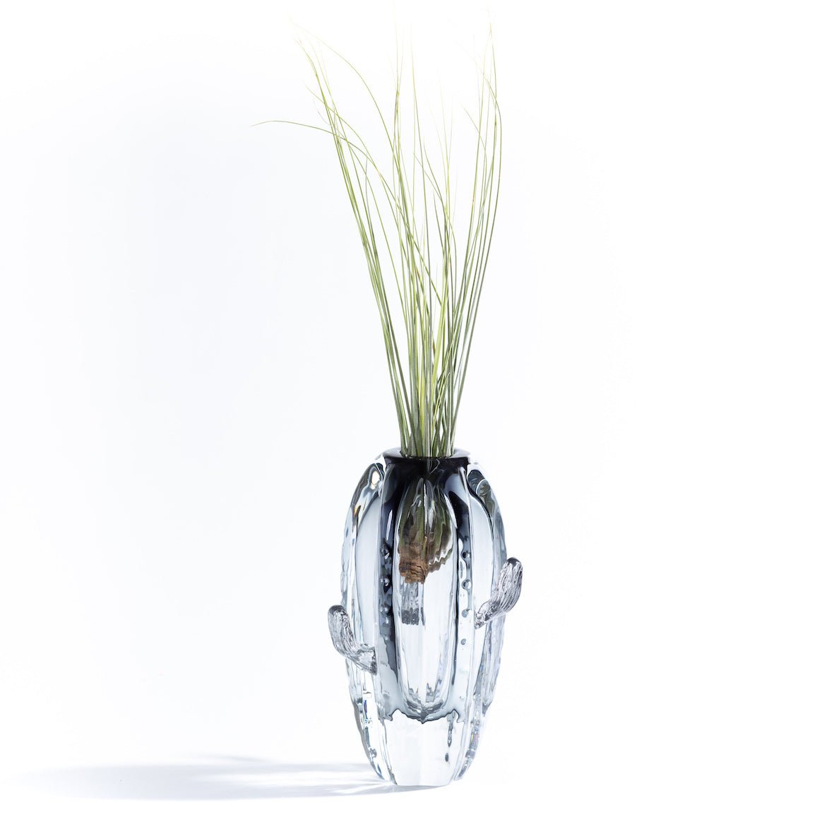 CACTUS large - Porta piante in vetro - SBAM - Casa e giardino