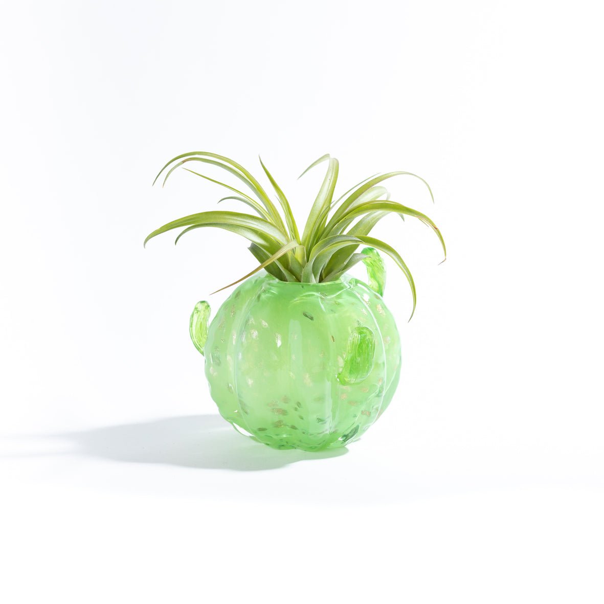 CACTUS small - Porta piante in vetro - SBAM - Casa e giardino