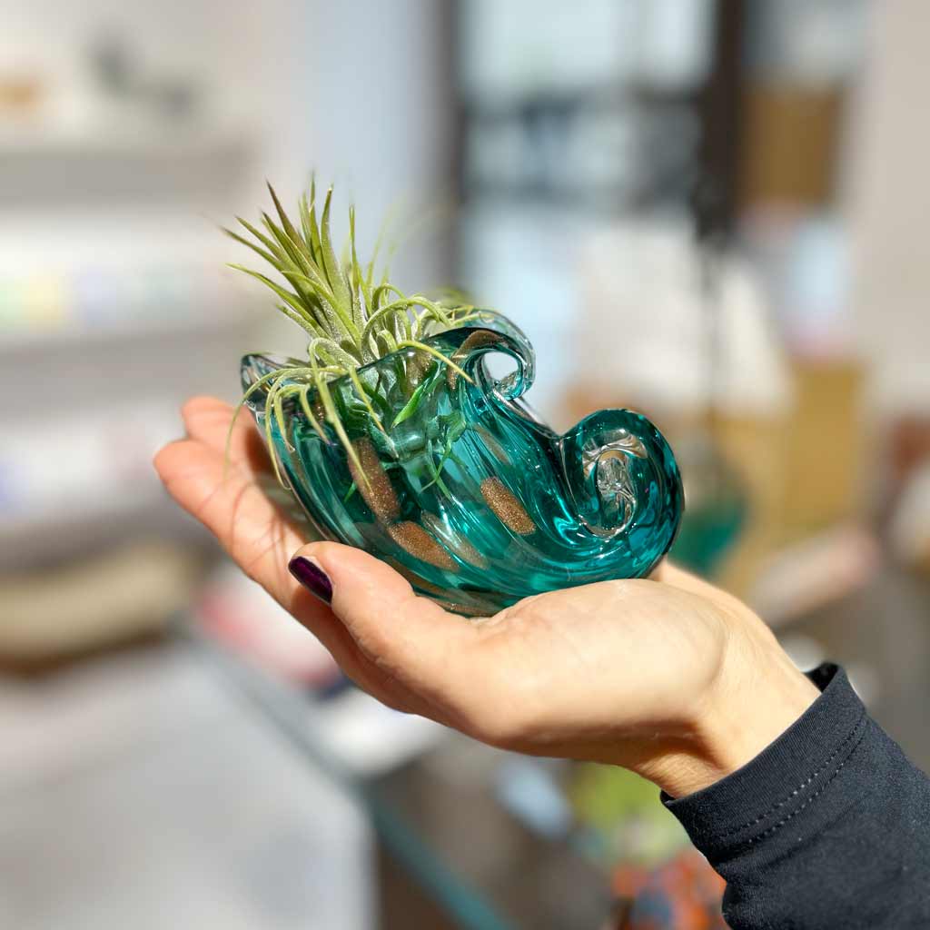 NAUTILUS - SBAM - Casa e giardino