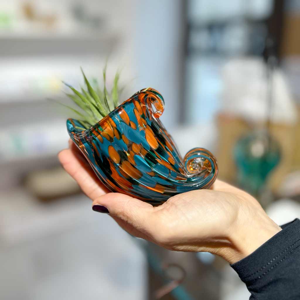 NAUTILUS - SBAM - Casa e giardino