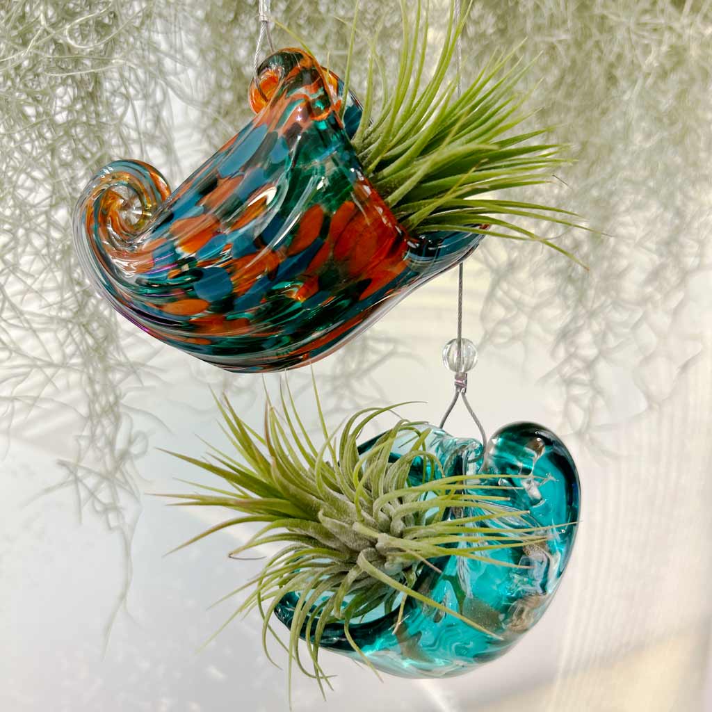 NAUTILUS - SBAM - Casa e giardino