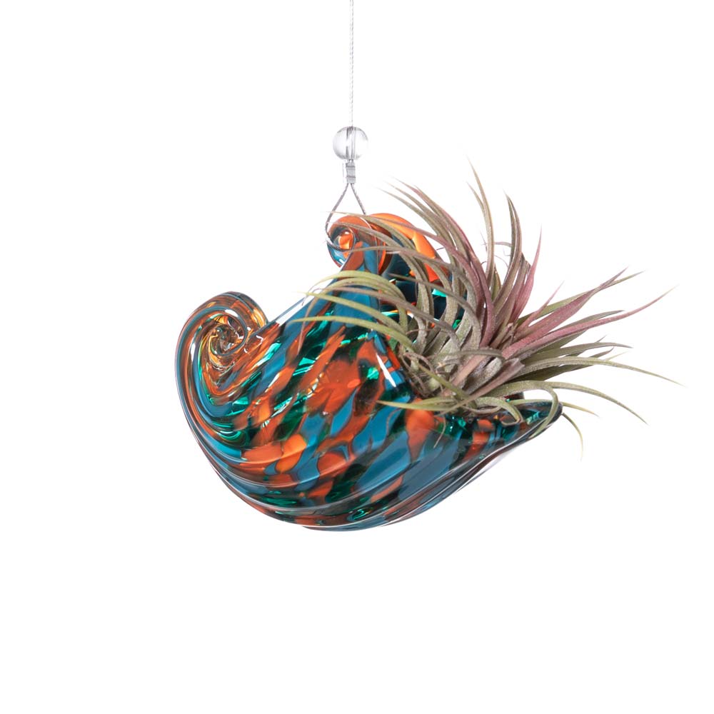 NAUTILUS - SBAM - Casa e giardino