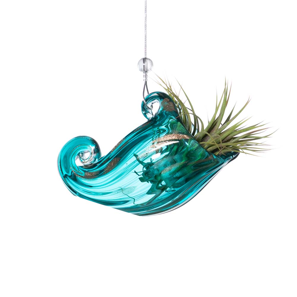 NAUTILUS - SBAM - Casa e giardino