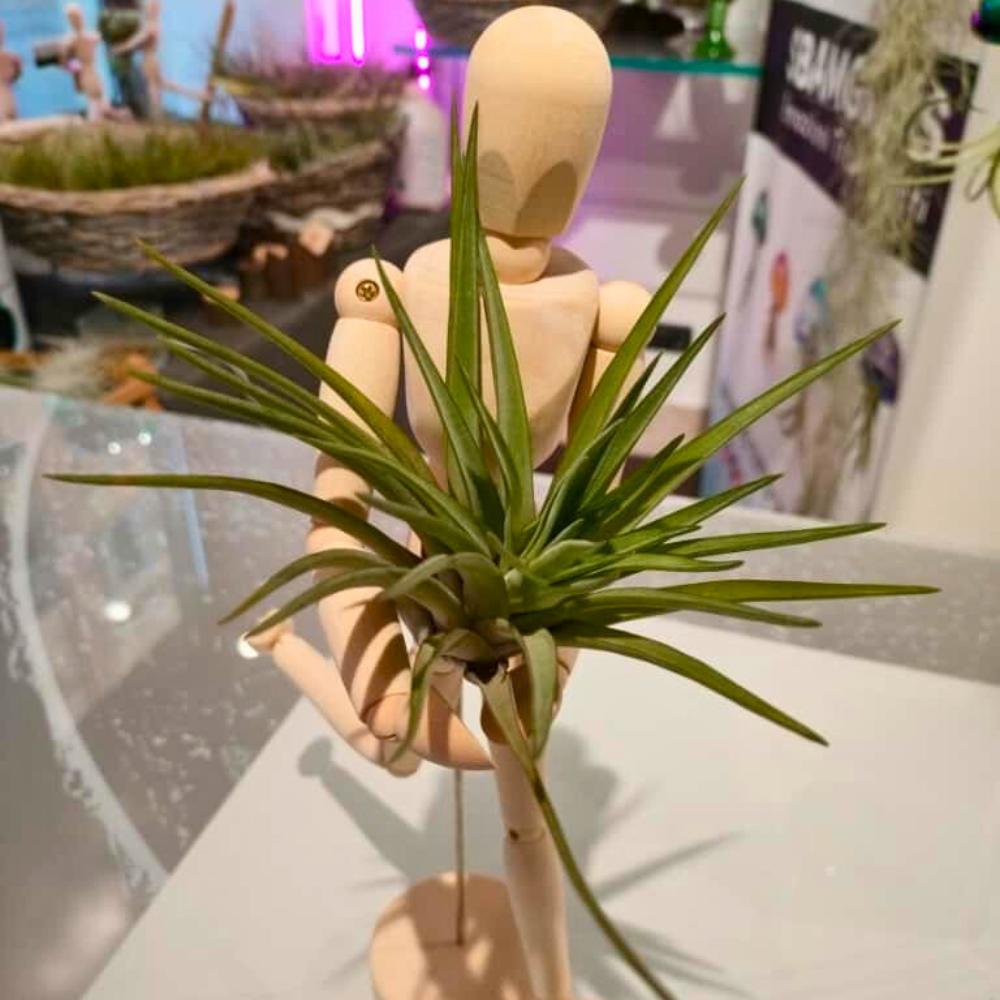 OMINO DI LEGNO ABBRACCIA PIANTE