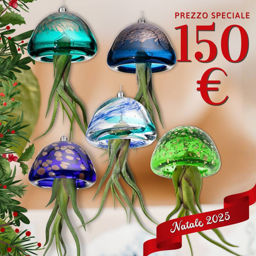 🎄 COLLEZIONE NATALE JELILY – Edizione Limitata 5 Colori