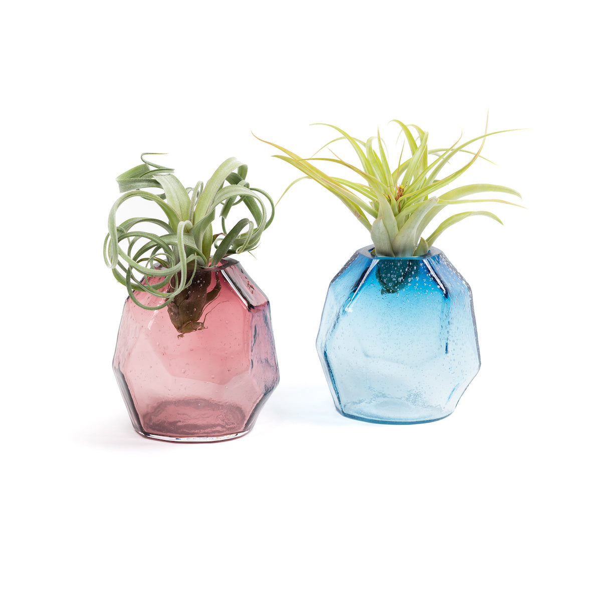 GEMME - Glass vase Medium