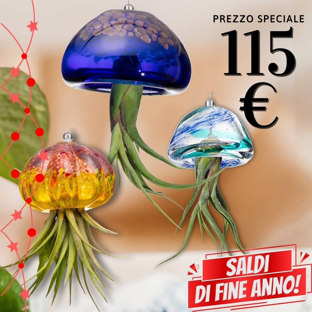 🌟 FAMIGLIE JELILY – 3 Porta Tillandsia in un unico Regalo