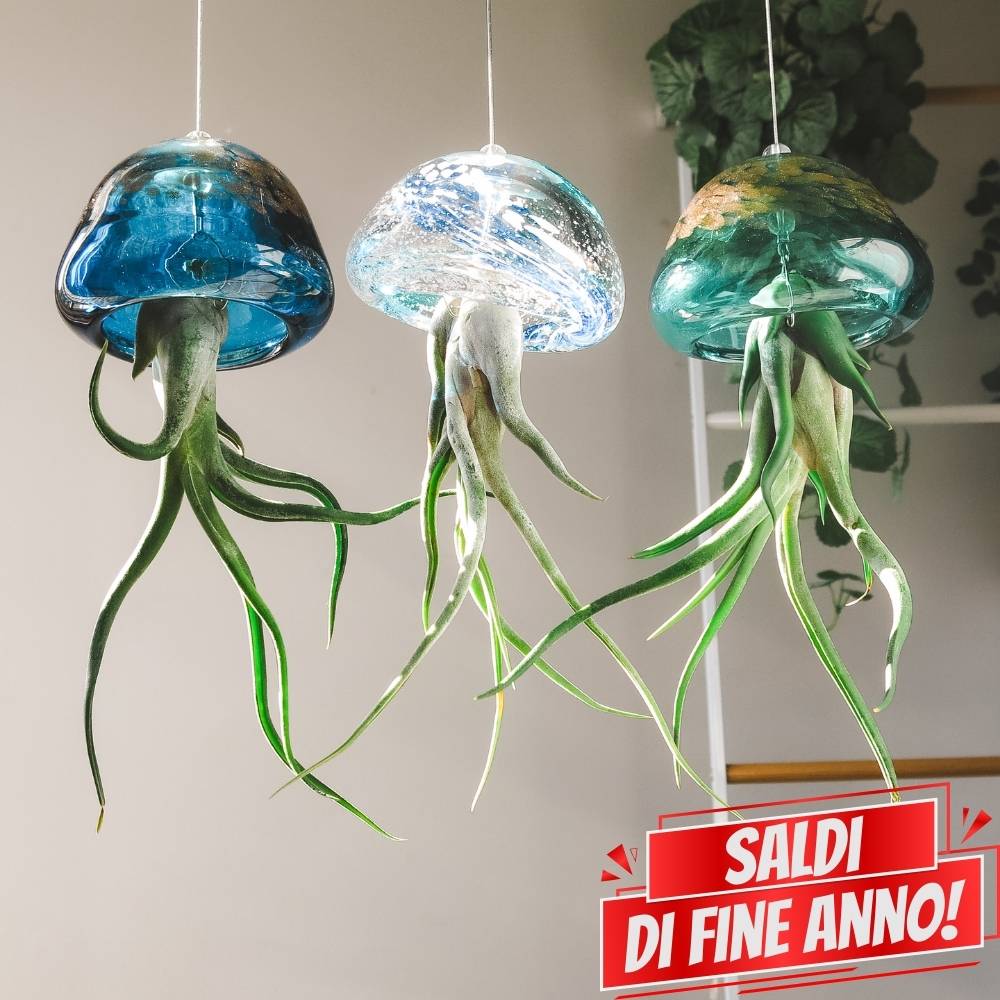 🌟 ACQUARIO VOLANTE - 3 JELILY Porta Tillandsie + LIBRO + INTEGRATORE
