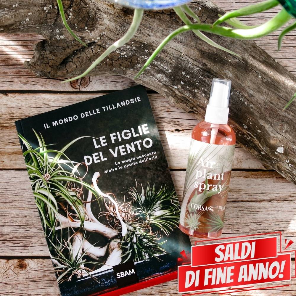 🌟 ACQUARIO VOLANTE - 3 JELILY Porta Tillandsie + LIBRO + INTEGRATORE