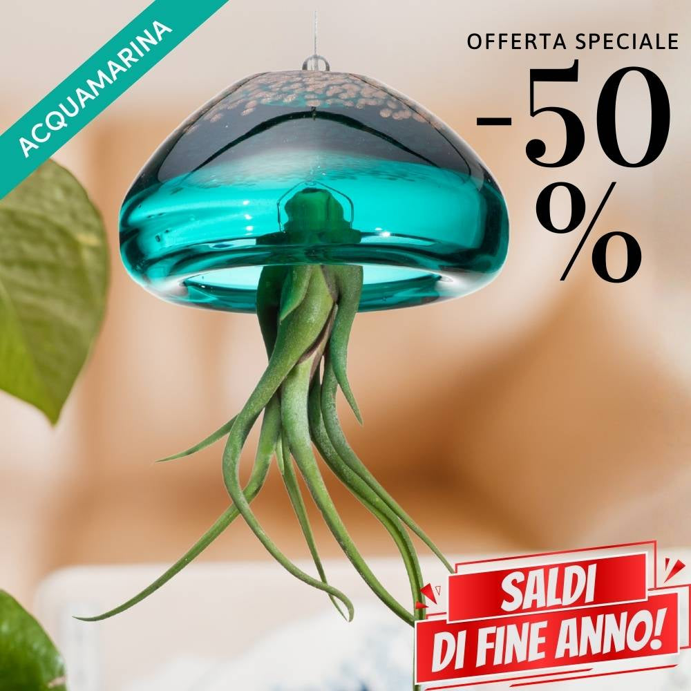 🌟 BIG JELILY - La Grande Medusa Porta Tillandsia