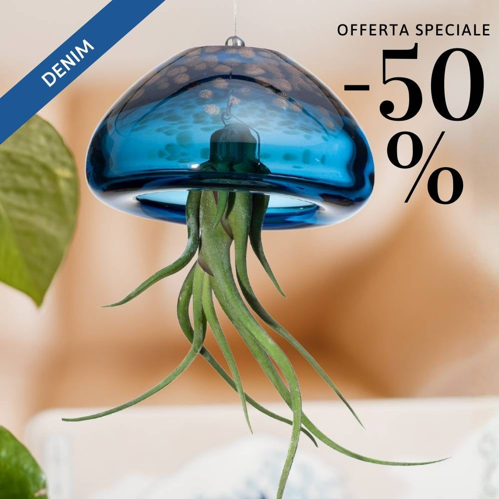 🌟 BIG JELILY - La Grande Medusa Porta Tillandsia