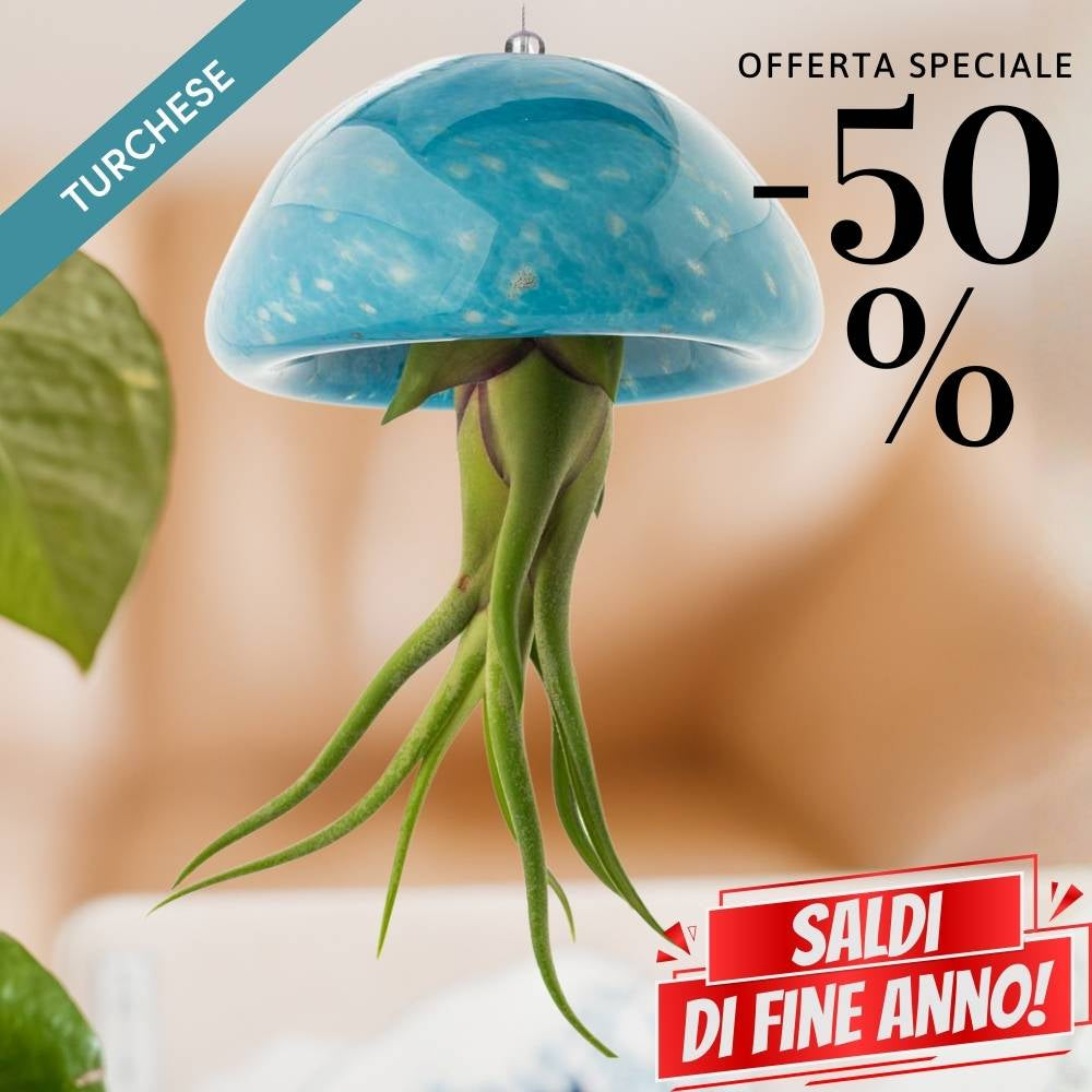 🌟 BIG JELILY - La Grande Medusa Porta Tillandsia