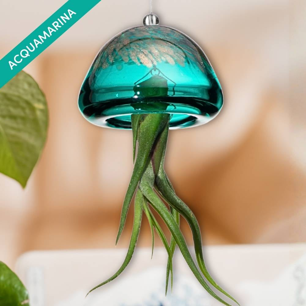 🌟 COLLEZIONE JELILY – Edizione Limitata 5 Colori