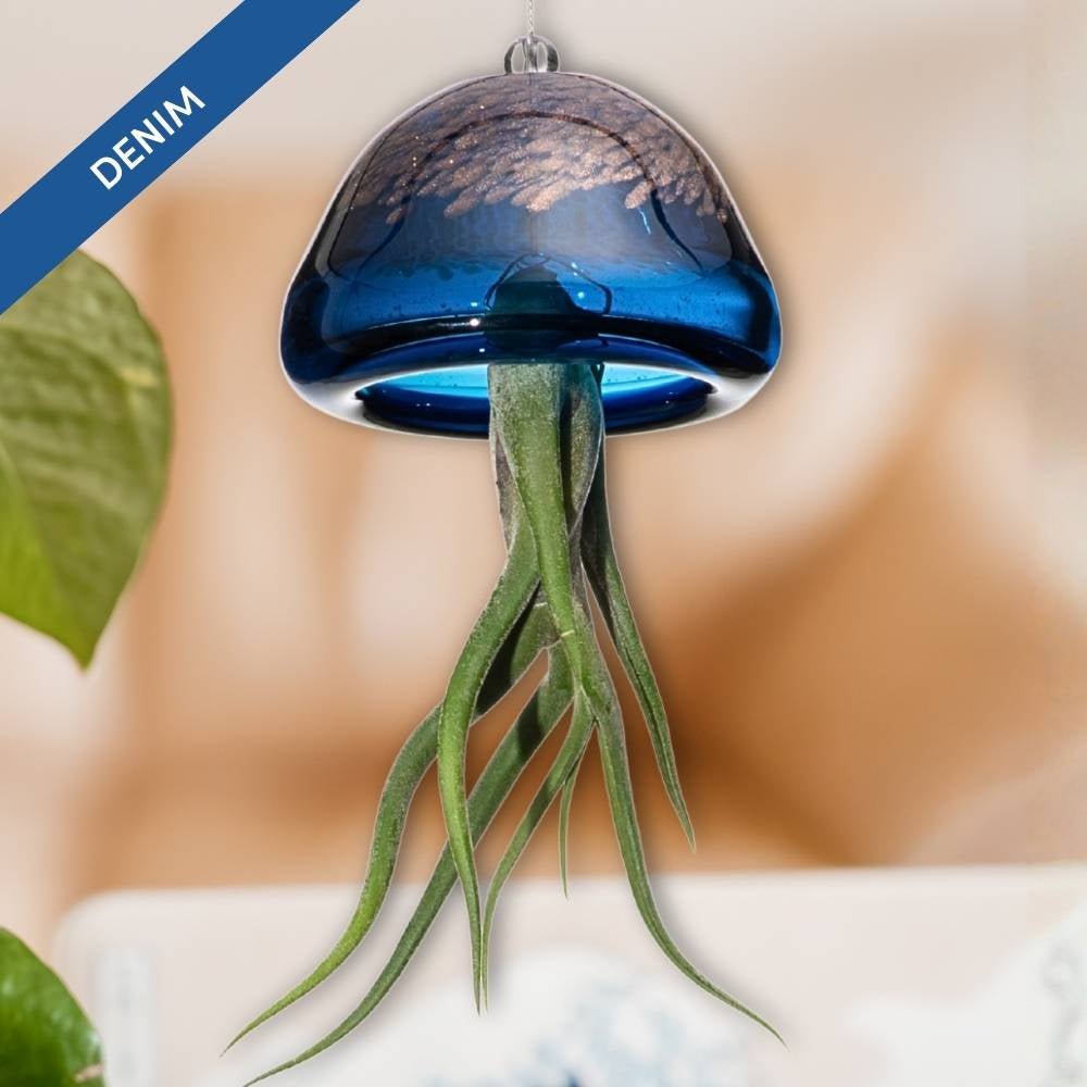 🌟 COLLEZIONE JELILY – Edizione Limitata 5 Colori