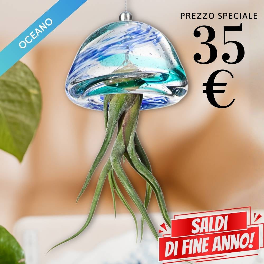 🌟 JELILY - La Medusa Porta Tillandsia