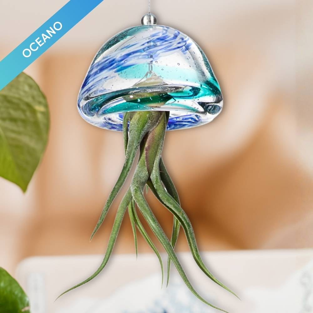 🌟 COLLEZIONE JELILY – Edizione Limitata 5 Colori