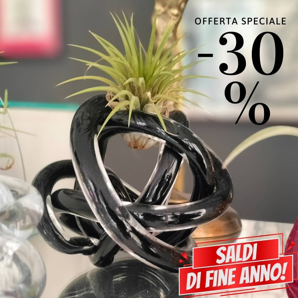🌟 NODO DI VETRO - Regalalo a chi vuoi bene, Pianta in Omaggio!