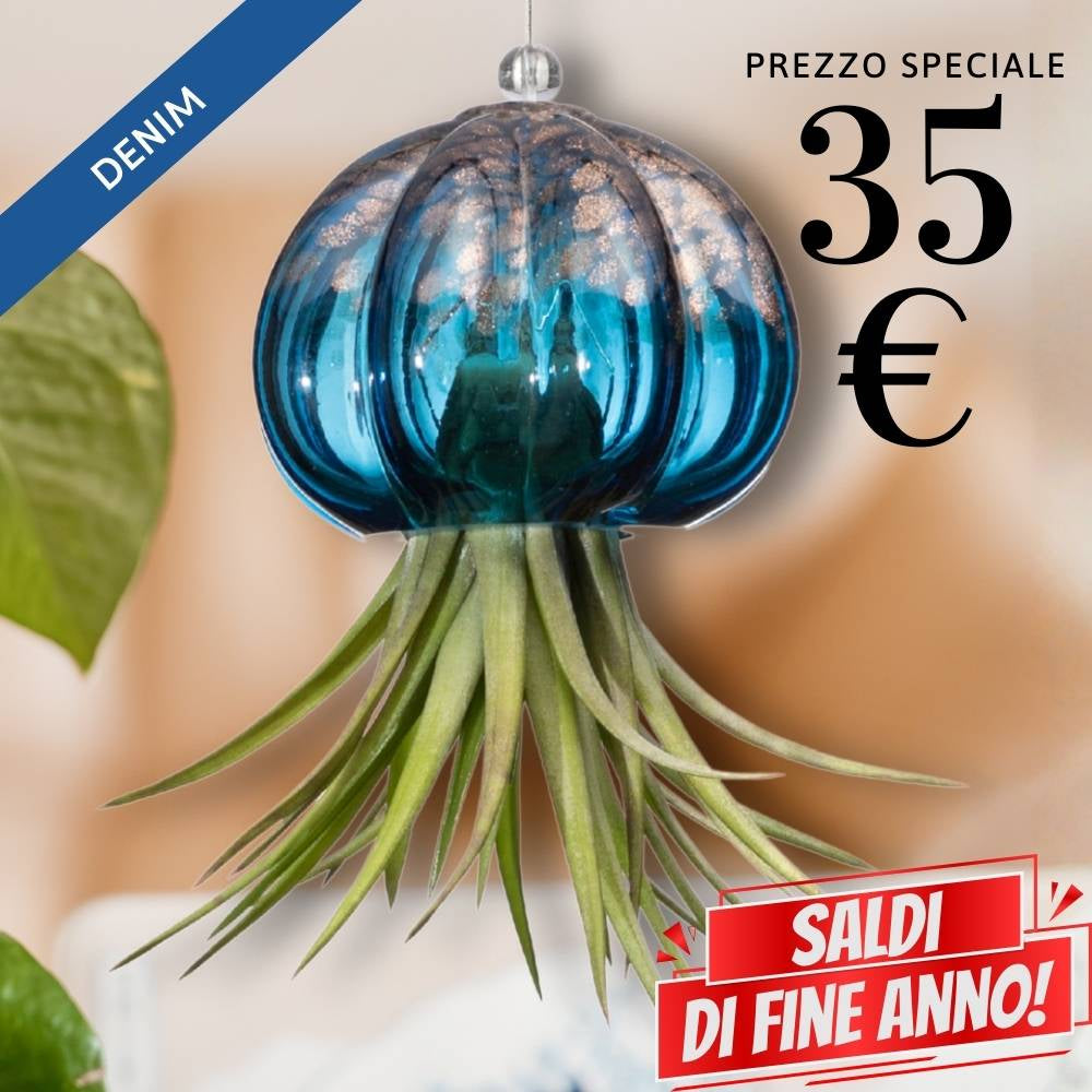 🌟 RICCIO - Porta Tillandsia