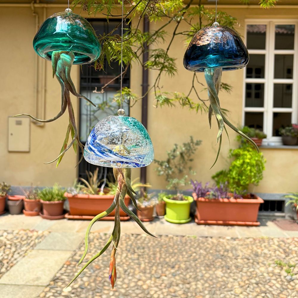 ACQUARIO VOLANTE - 3 JELILY + LIBRO + INTEGRATORE - SBAMGLASS - Kit in Offerta