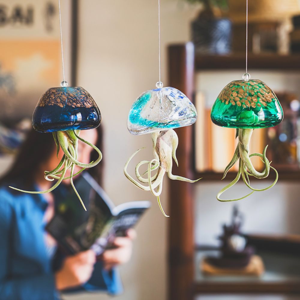 ACQUARIO VOLANTE - 3 JELILY + LIBRO + INTEGRATORE - SBAMGLASS - Kit in Offerta