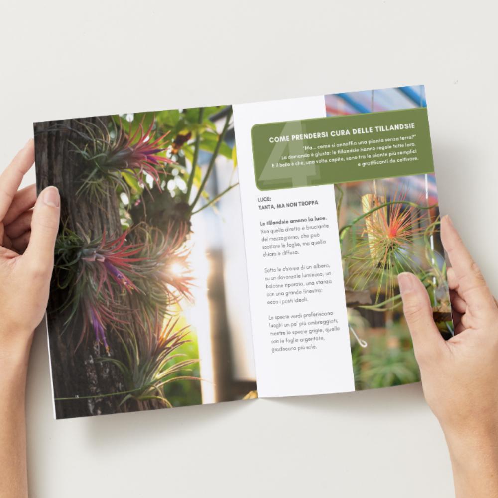 ACQUARIO VOLANTE - 3 JELILY + LIBRO + INTEGRATORE - SBAMGLASS - Casa e giardino