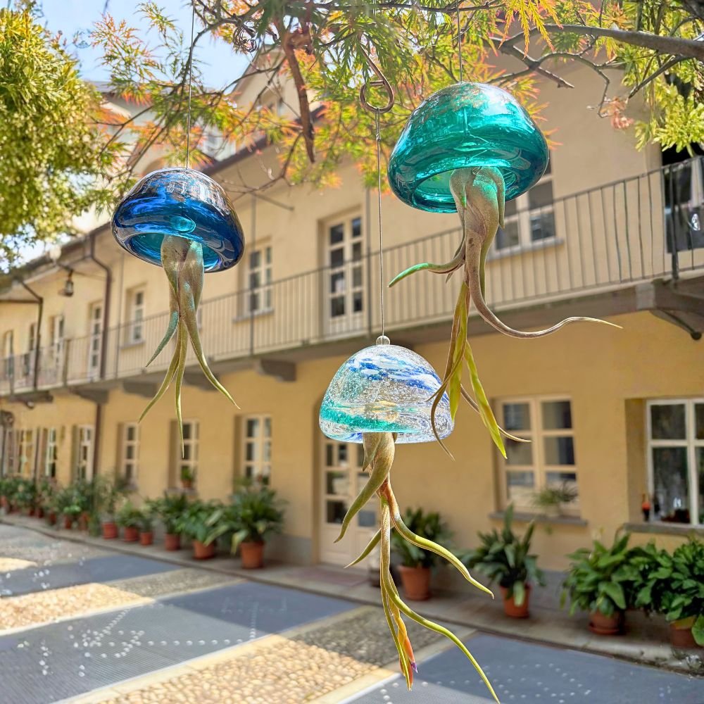 ACQUARIO VOLANTE - 3 JELILY + LIBRO + INTEGRATORE - SBAMGLASS - Kit in Offerta