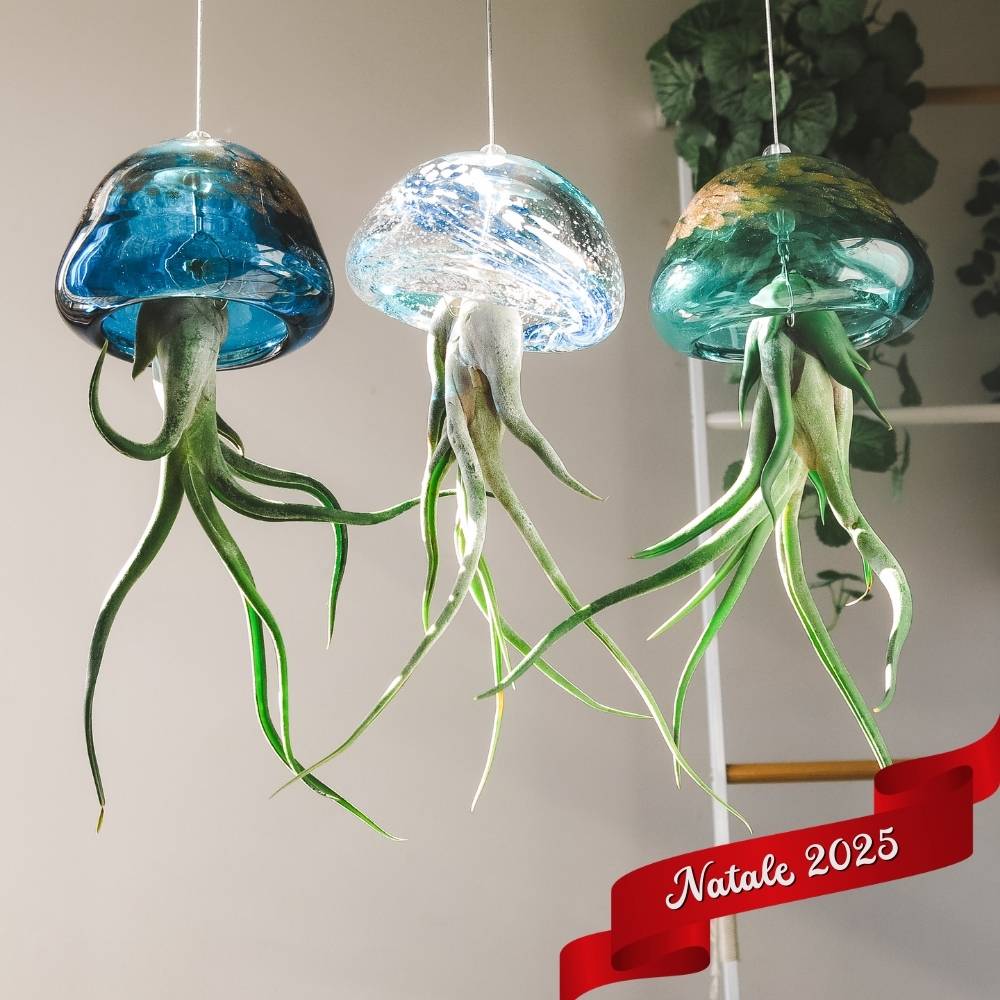 🎄 ACQUARIO VOLANTE - 3 JELILY Porta Tillandsie + LIBRO + INTEGRATORE - SBAMGLASS - Casa e giardino