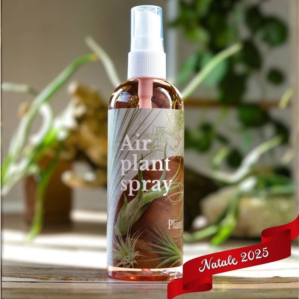 🎄 ACQUARIO VOLANTE - 3 JELILY Porta Tillandsie + LIBRO + INTEGRATORE - SBAMGLASS - Casa e giardino