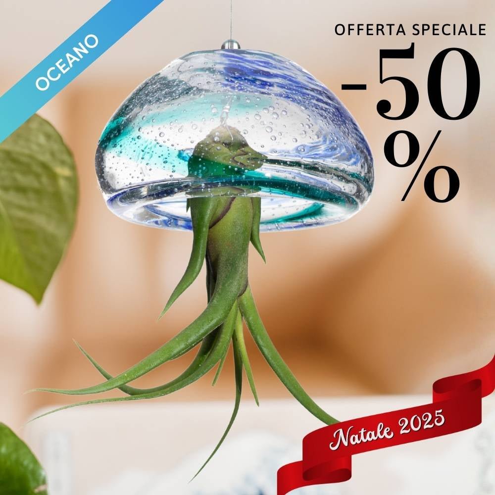 🎄 BIG JELILY - La Grande Medusa Porta Tillandsia - SBAMGLASS - Casa e giardino